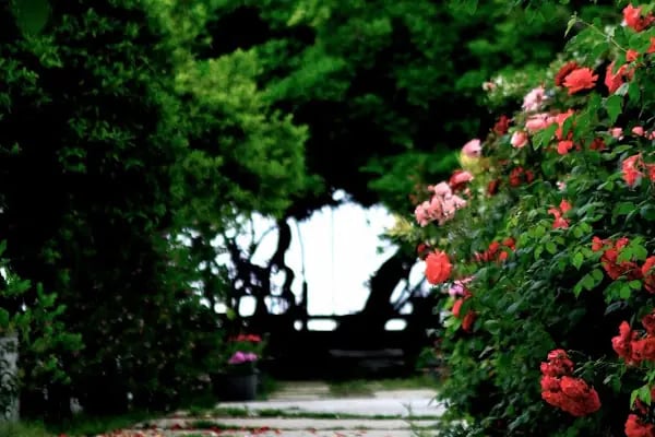 Taş Pansiyon - tasturizm - Resim 2