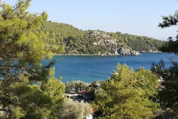 Taş Pansiyon - tasturizm - Resim 8