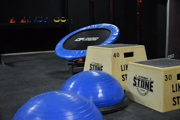 BunnyFit Muscle&amp;Fitness - Resim 10