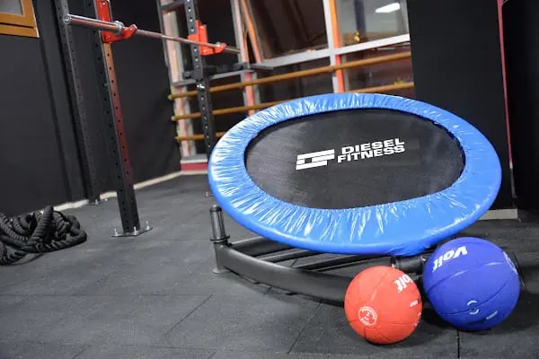 BunnyFit Muscle&amp;Fitness - Resim 16