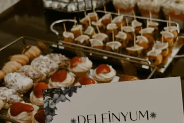 Delfinyum Davet Evi - Resim 19