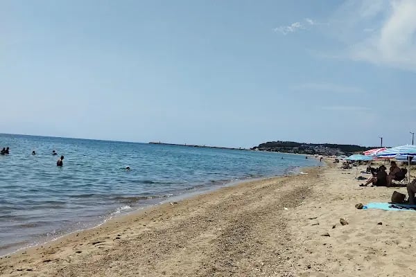 Saros zeytindalı evleri - Resim 16