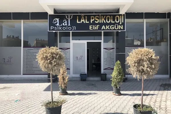 Lâl Psikoloji Elif Akgün Yarımoğlu - Resim 2