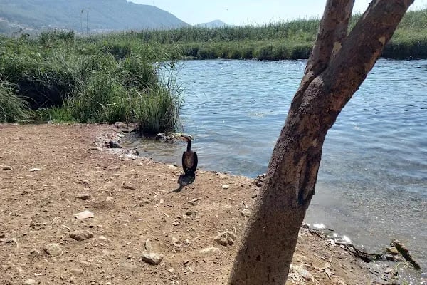 Kermetur Tatil Sitesi - Resim 2