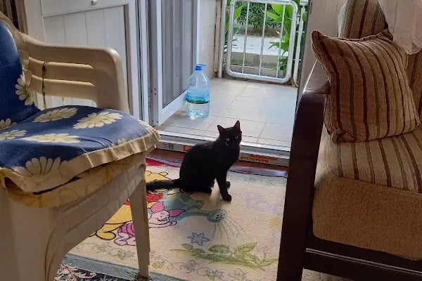 Kermetur Tatil Sitesi - Resim 7
