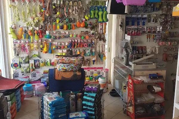 taşdemir petshop - Resim 13