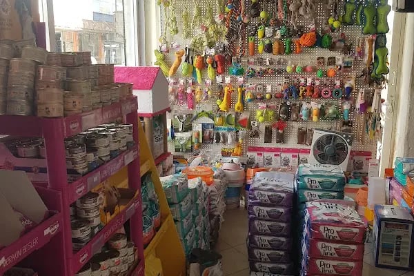 taşdemir petshop - Resim 12