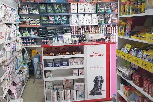 taşdemir petshop - Resim 10
