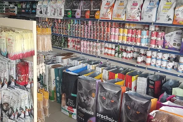 taşdemir petshop - Resim 8