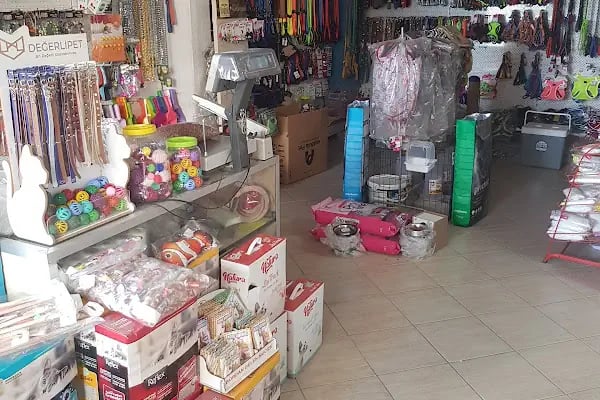 taşdemir petshop - Resim 17