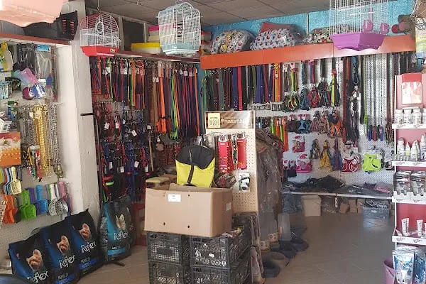 taşdemir petshop - Resim 15
