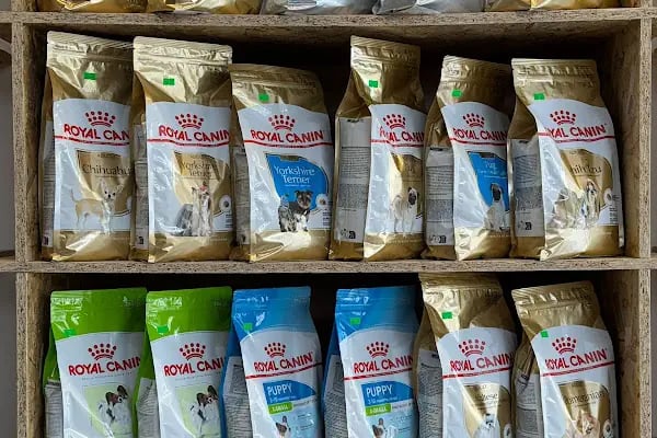 LİLLY'S PETSHOP - Resim 19