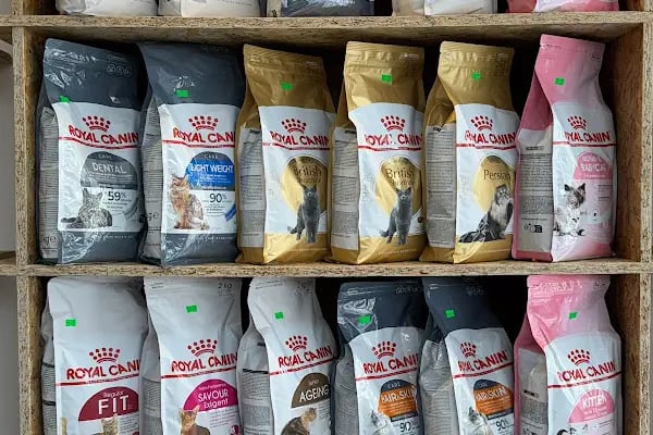 LİLLY'S PETSHOP - Resim 11