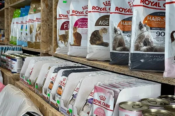 LİLLY'S PETSHOP - Resim 6