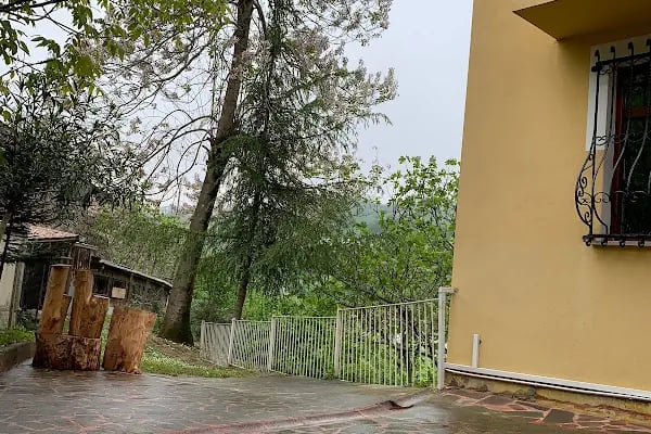Esa suite villa - Resim 15