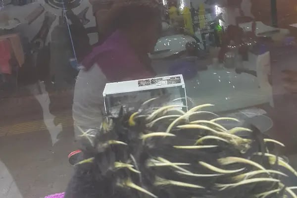 King Hairdresser (King Kuaför) - Resim 18