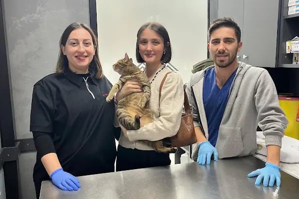 Vet Pegas Veteriner Kliniği-Kartal Veteriner,Acil Veteriner,7/24 Veteriner,Kedi Kısırlaştırma,Köpek Kısırlaştırma, - Resim 2