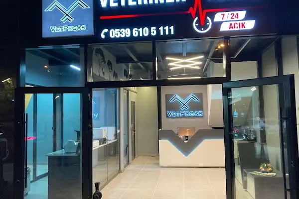 Vet Pegas Veteriner Kliniği-Kartal Veteriner,Acil Veteriner,7/24 Veteriner,Kedi Kısırlaştırma,Köpek Kısırlaştırma, - Resim 9