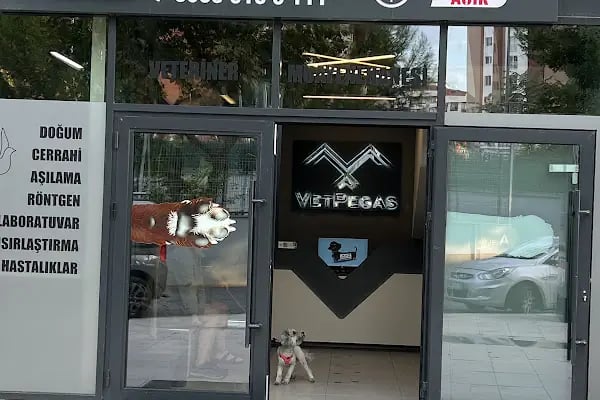 Vet Pegas Veteriner Kliniği-Kartal Veteriner,Acil Veteriner,7/24 Veteriner,Kedi Kısırlaştırma,Köpek Kısırlaştırma, - Resim 6