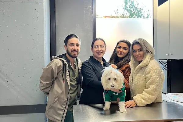 Vet Pegas Veteriner Kliniği-Kartal Veteriner,Acil Veteriner,7/24 Veteriner,Kedi Kısırlaştırma,Köpek Kısırlaştırma, - Resim 5