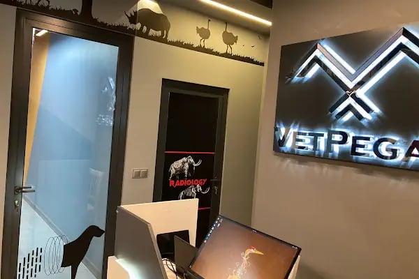 Vet Pegas Veteriner Kliniği-Kartal Veteriner,Acil Veteriner,7/24 Veteriner,Kedi Kısırlaştırma,Köpek Kısırlaştırma, - Resim 14