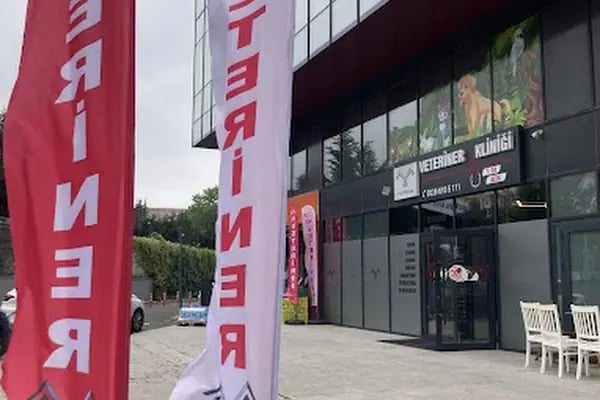 Vet Pegas Veteriner Kliniği-Kartal Veteriner,Acil Veteriner,7/24 Veteriner,Kedi Kısırlaştırma,Köpek Kısırlaştırma, - Resim 3