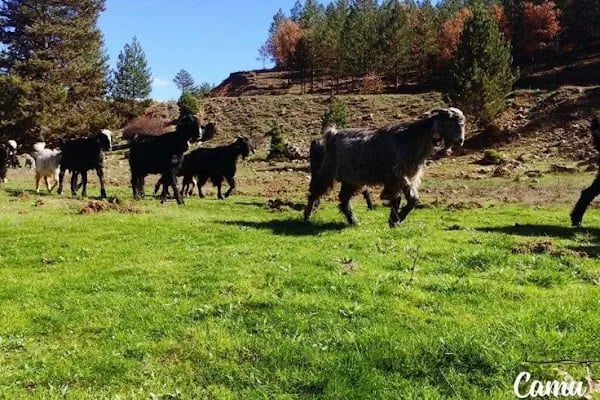 Gidengelmez Dağları Milli Parkı - Resim 13
