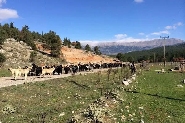 Gidengelmez Dağları Milli Parkı - Resim 11