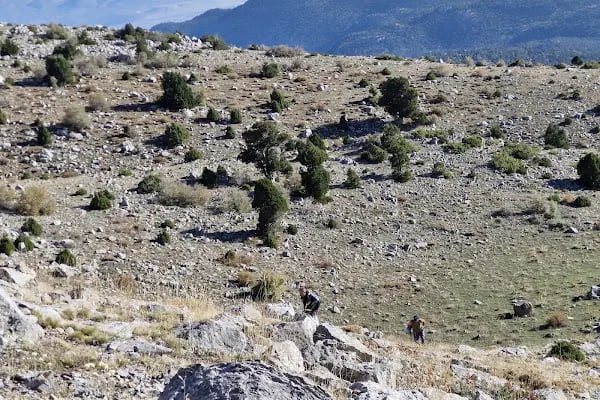Gidengelmez Dağları Milli Parkı - Resim 10