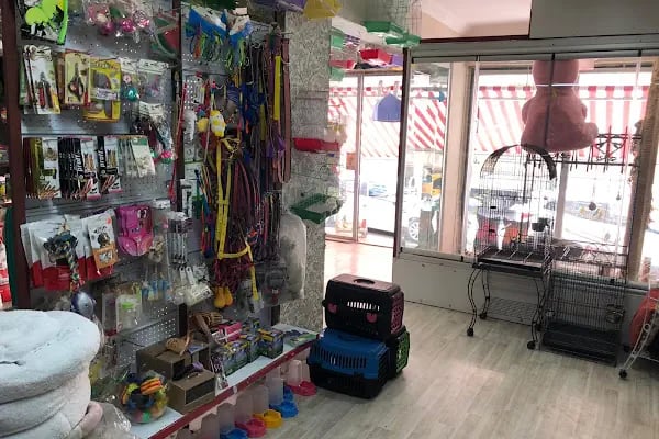 World Petshop - Resim 5