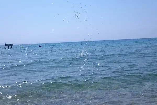 Vakıf Tabiat Parkı - Resim 8