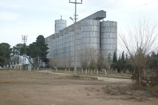 Toprak Mahsulleri Ofisi Güneydoğu Anadolu Şanlıurfa Başmüdürlüğü - Resim 1