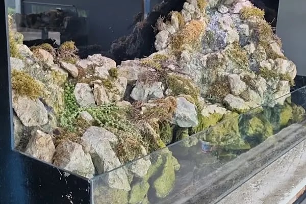 Şelale Antalya - Resim 2
