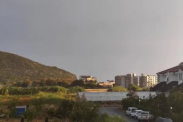Gazipaşa Delfin - Resim 6
