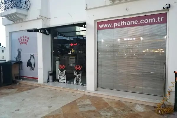 Pethane Veteriner Kliniği - Resim 4