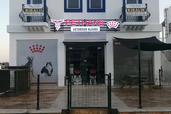Pethane Veteriner Kliniği - Resim 2