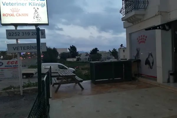 Pethane Veteriner Kliniği - Resim 5
