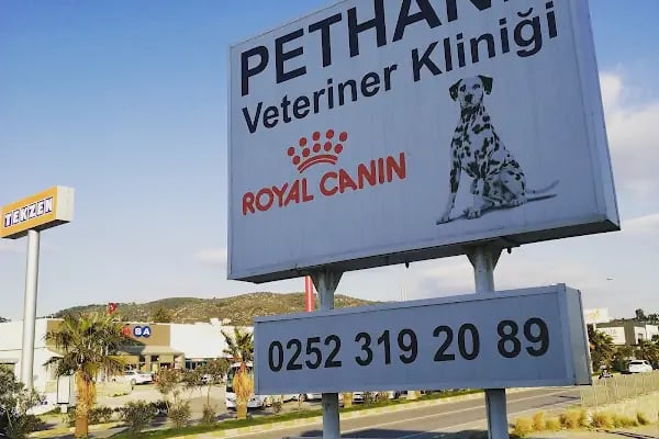 Pethane Veteriner Kliniği - Resim 3