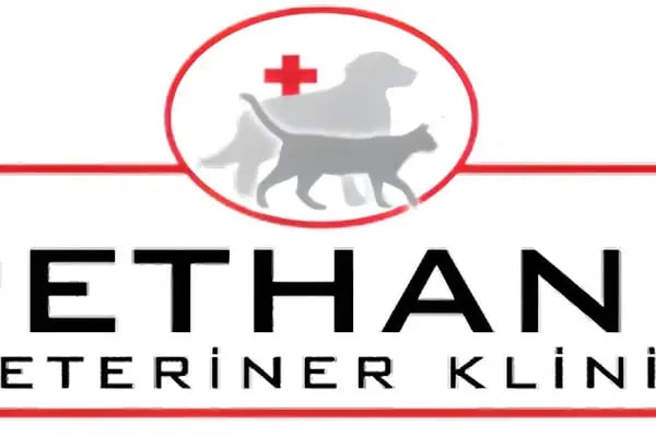 Pethane Veteriner Kliniği - Resim 10
