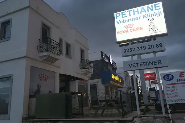 Pethane Veteriner Kliniği - Resim 8