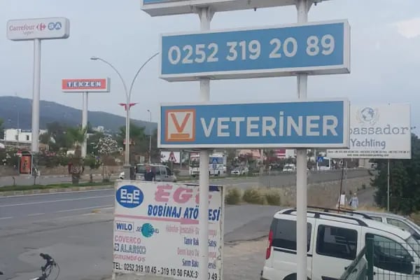 Pethane Veteriner Kliniği - Resim 7