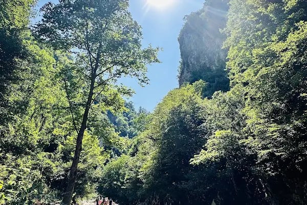 KOCAALİ Maden Deresi - Resim 10