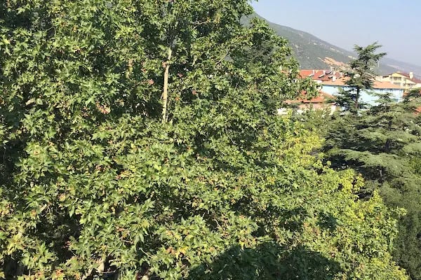 Akşehir Elitt Otel - Resim 11