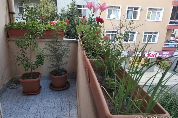Kul Fırın Karanfil Şubesi - Resim 2