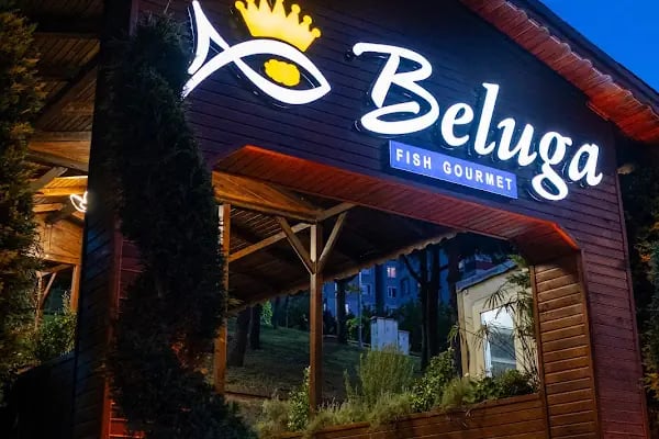 Beluga Fish Gourmet - Resim 2