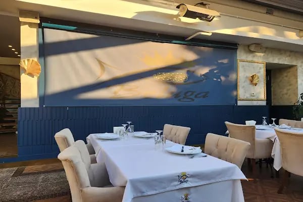 Beluga Fish Gourmet - Resim 6