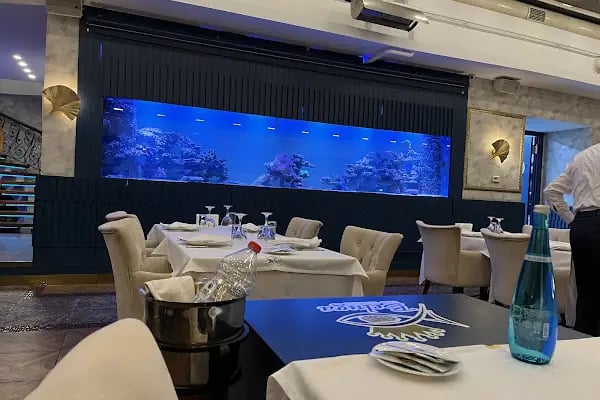Beluga Fish Gourmet - Resim 4