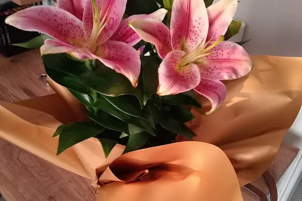 Love Çiçekçilik - Resim 17