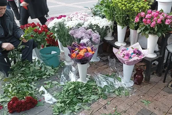 Bursa Kan Bağışı Merkezi - Resim 6