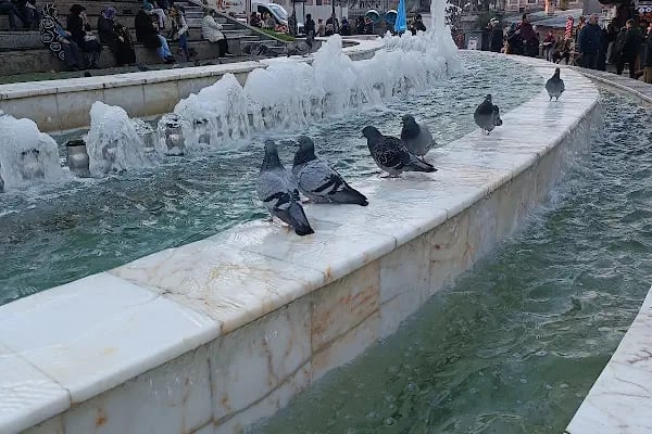 Bursa Kan Bağışı Merkezi - Resim 12
